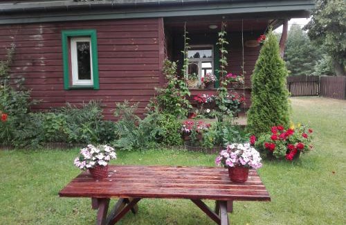 Narewka Casa | Dom na skraju Puszczy Białowieskiej