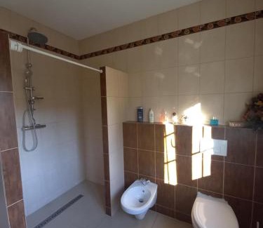 Zywiec Apartamento | Dom nad jeziorem Oblasek