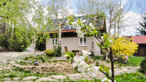 Lipowa Casa | Dom nad Potokiem z sauną