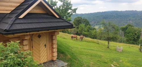 Wisla Chalet De Esquí | Dom pod Baranią - Wisła - sauna, jacuzzi, tężnia & widok na góry