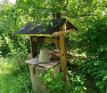 Bochnia Casa | Dom pod Galazka