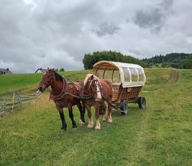 Nowy Targ Casa | Dom przy Zagrodzie