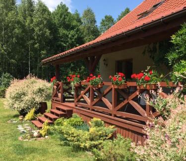 Ostrow Wielki Casa | Dom w Sąpach