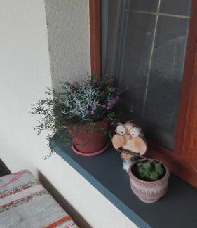 Dubicze Cerkiewne Casa | Dom w spokojnej okolicy