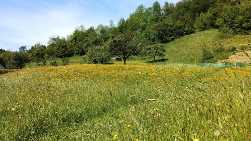 Ochotnica Dolna Casa | DOM ZA STUDNIĄ Góralski dom w Ochotnicy Dolnej