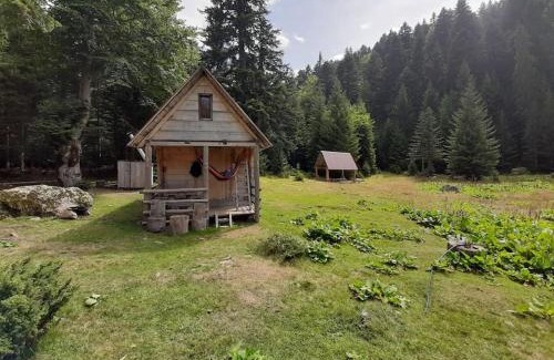 Montenegro Chalet De Esquí | Domaćinstvo Pešića