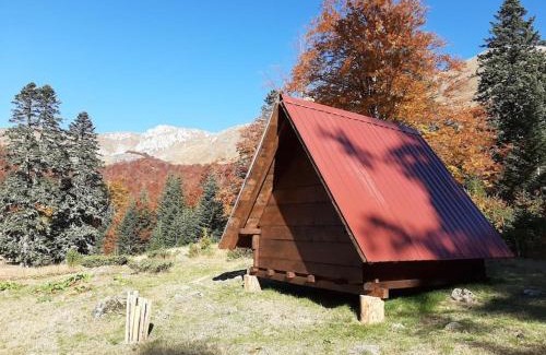 Montenegro Chalet De Esquí | Domaćinstvo Pešića