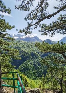 Popov Most Casa | Domacinstvo Paprica Tjentiste