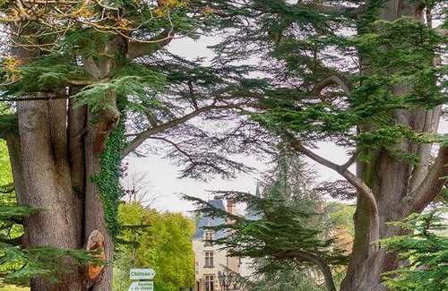 Noyant-de-Touraine Casa | Domaine de Brou