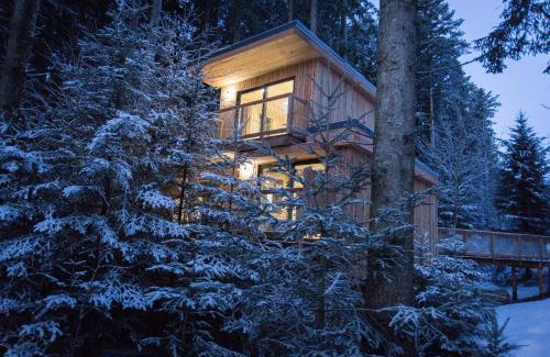 Fournet-Blancheroche Casa | Domaine de l'Authentique Cabanes dans les arbres