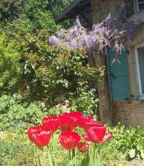 Jullie Casa | Domaine de la Fée-Licité