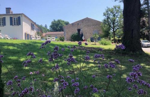 Castres Casa | Domaine de la laugerie - relais du consul