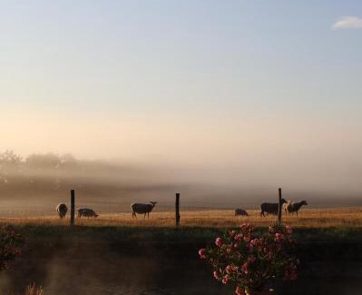 Confolens Cama Y Desayuno | DOMAINE de la PARTOUCIE