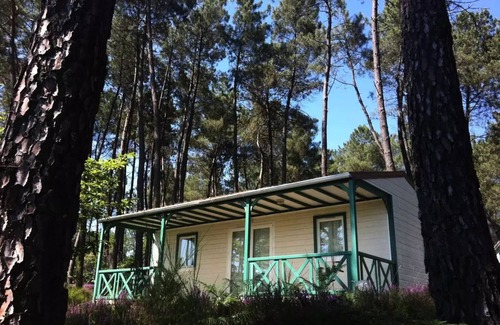 Tamnies Chalet De Esquí | Domaine des Grands Pins **** - Chalet Chataignier Comfort with air conditioning 6 people