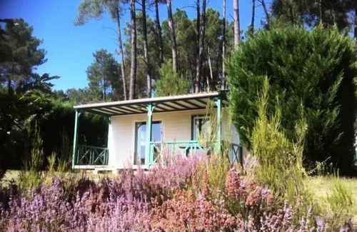 Tamnies Chalet De Esquí | Domaine des Grands Pins **** - Chalet Epicea Confort with air conditioning 4 people
