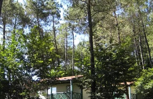 Tamnies Chalet De Esquí | Domaine des Grands Pins **** - Chalet Epicea Confort with air conditioning 4 people