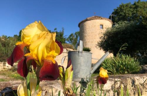 Terraube Casa | Domaine Léa Chanflaur - Spa - Le moulin de la jalousie