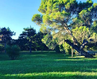 Canohes Cama Y Desayuno | DOMAINE LES VINYES