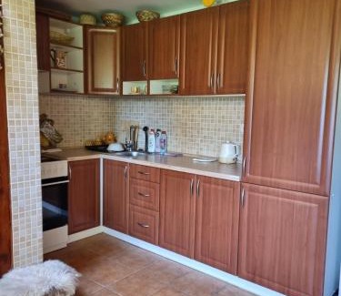 Raspenava Apartamento | Domeček u Grizzlyho