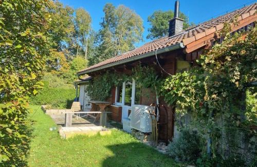 Raspenava Apartamento | Domeček u Grizzlyho