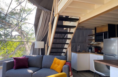 Perce Chalet De Esquí | Dome #1 forested at Domaine Renard