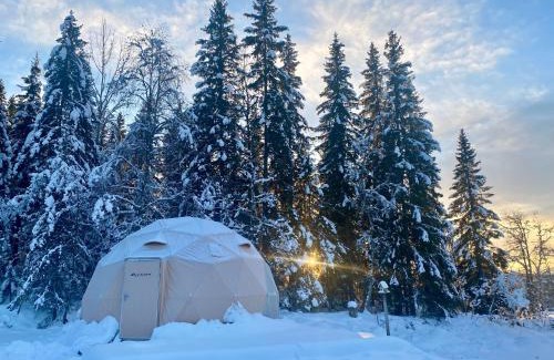 Lillehammer Otro | Dome Glamping with shared bathroom