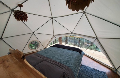 Rogers Hotel | Dome Town: Book all 3 Dome Town Treehouses!