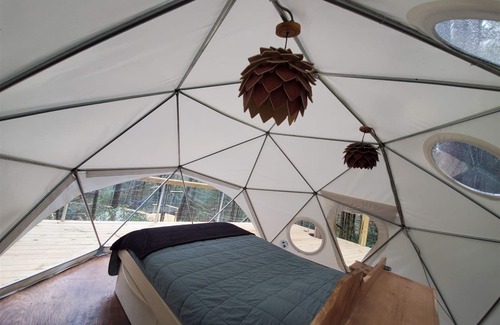 Rogers Hotel | Dome Town: Book all 3 Dome Town Treehouses!