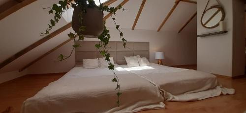 Lapalice Apartamento | Domek - Apartament