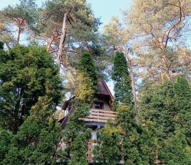Małogoszcz Casa | Domek Chatka Czubatka