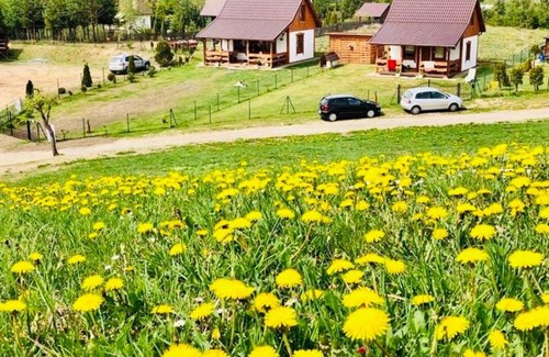 gmina Stezyca Casa | Domek Eden 7 Kaszuby balia sauna alpaki