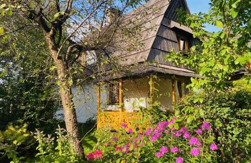 Zakopane Cabina | Domek Leśny