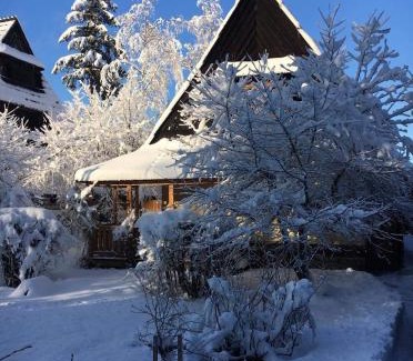 Zakopane Cabina | Domek Leśny