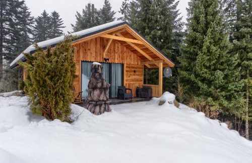Zakopane Chalet De Esquí | Domek Leśny
