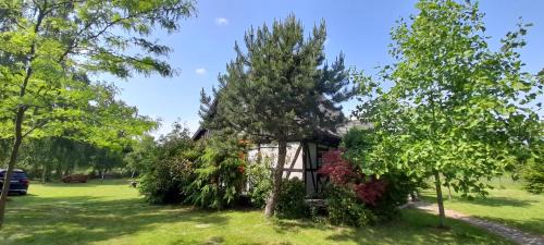 Sarbsk Casa | Domek letniskowy Wczasy nad morzem