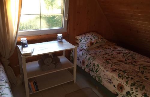 Przodkowo Cabina | Domek nad jeziorem Otalżyno