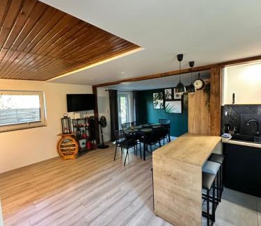 Zywiec Apartamento | Domek Nad Koszarawą z ogrodowym jacuzzi