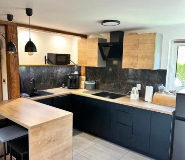 Zywiec Apartamento | Domek Nad Koszarawą z ogrodowym jacuzzi