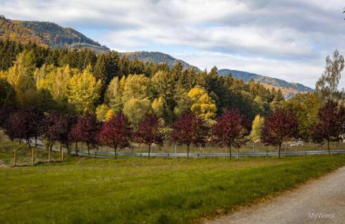 Radkow Casa | Domek nad Zalewem Radkowskim