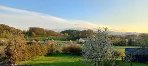 Staniszow Casa | Domek pod borówką