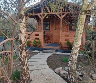 Pszczolki Casa | Domek pod Brzozami