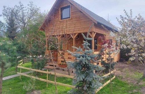 Pszczolki Casa | Domek pod Sumakiem