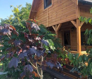 Pszczolki Casa | Domek pod Sumakiem