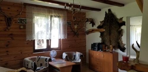 Zwierzyniec Cabina | DOMEK ROZTOCZE