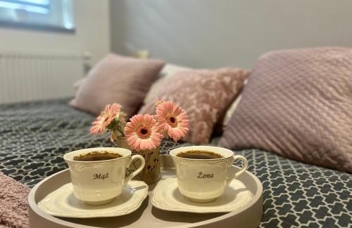 Meszna Apartamento | Domek Skalite w Szczyrku
