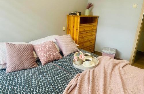 Meszna Apartamento | Domek Skalite w Szczyrku