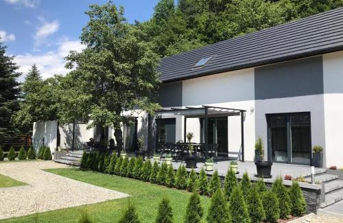 Polany Cabina | Domek szeregowy nr 2
