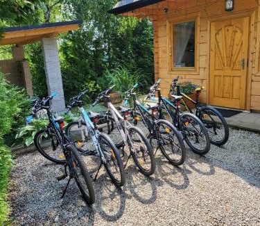 Lapsze Nizne Casa | Domek w Borowikowym Zaciszu