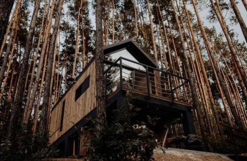Daleszyce Casa | Domek w Koronach Drzew