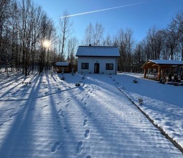 Grybow Chalet De Esquí | Domek w lesie Sauna i Gorąca balia Wellness&Spa